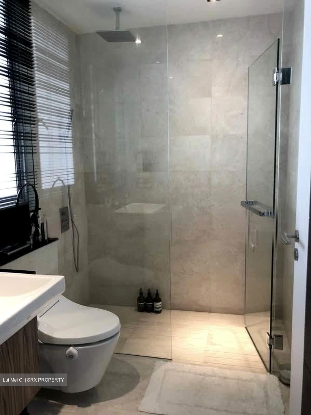 Suites @ Newton (D11), Apartment #541678771